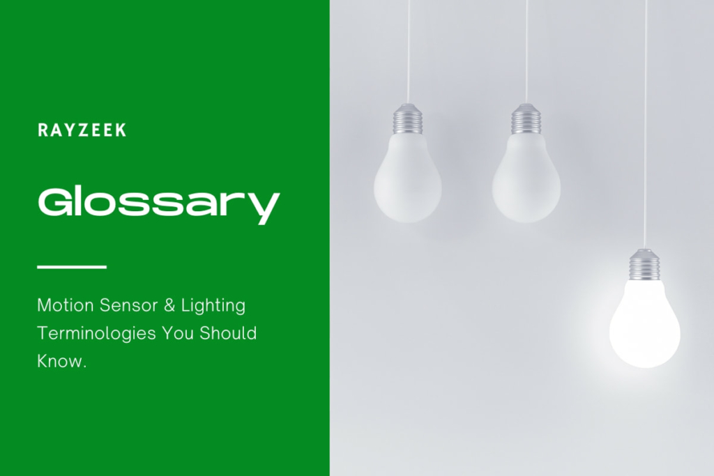 What is Lighting Control - Rayzeek