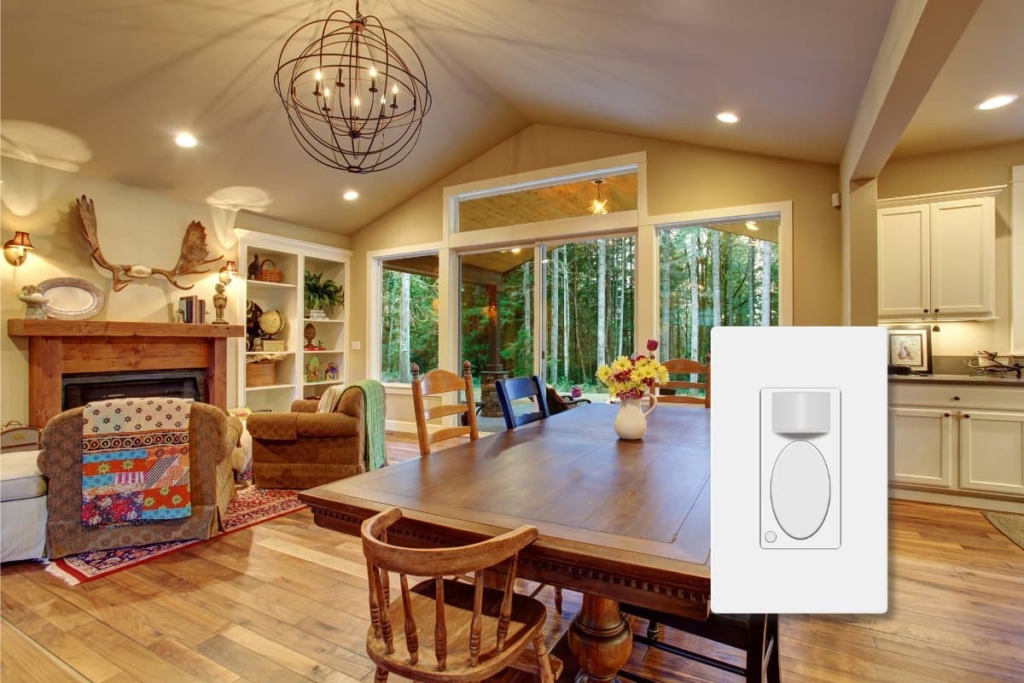 What is a PIR Motion Sensor and How Does it Work? Rayzeek