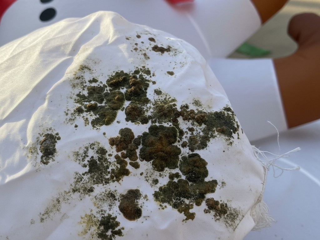 Mold and Mildew Stains on a Nylon Inflatable A close-up shot of the white nylon fabric of a holiday inflatable, showing dark, unsightly spots of mold growth.